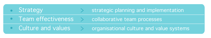 Strategy strategic planning and implementation, Team effectiveness collaborative team processes, Culture and values organisational culture and value systems