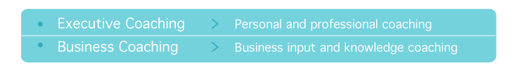 Executive Coaching,  Personal and professional coaching; Business Coaching,  Business input and knowledge coaching