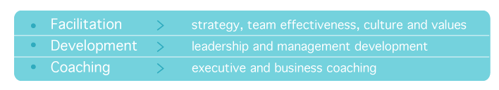 Facilitation strategy, team effectiveness, culture and values ;Development leadership and management development; Coaching executive and business coaching